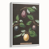 Vintage poster art of colorful fruits on a white framed canvas, ideal for extra large living room wall decor.