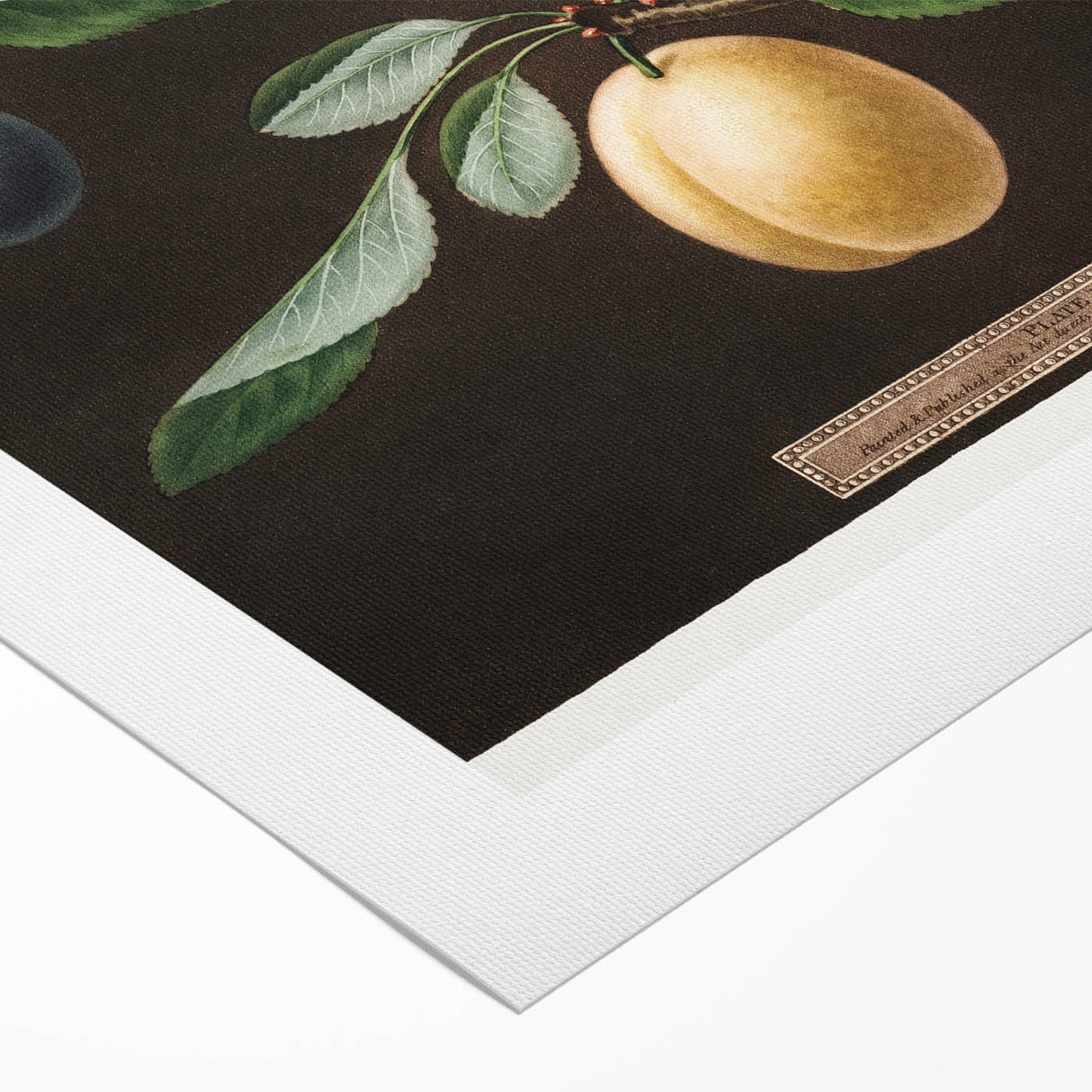 Art deco poster featuring vibrant citrus fruits on a rolled canvas, ideal for dining room decor.