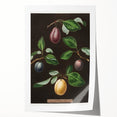 Rolled canvas print of assorted fruits in vibrant colors, ideal for art wall dining room.