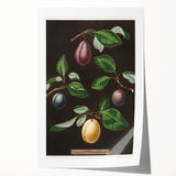 Rolled canvas print of assorted fruits in vibrant colors, ideal for art wall dining room.