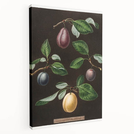 Large wall art on stretched canvas featuring a variety of colorful fruits, ideal for kitchen wall decor.
