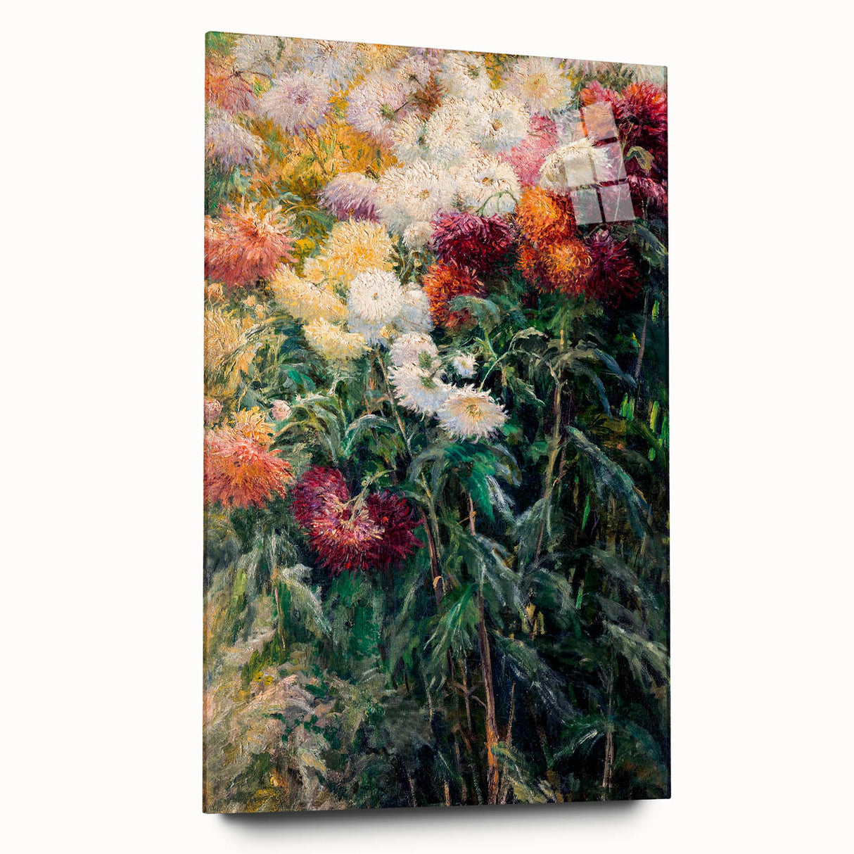 Impressionist Garden Floral Art - Chrysanthemums by Gustave Caillebotte