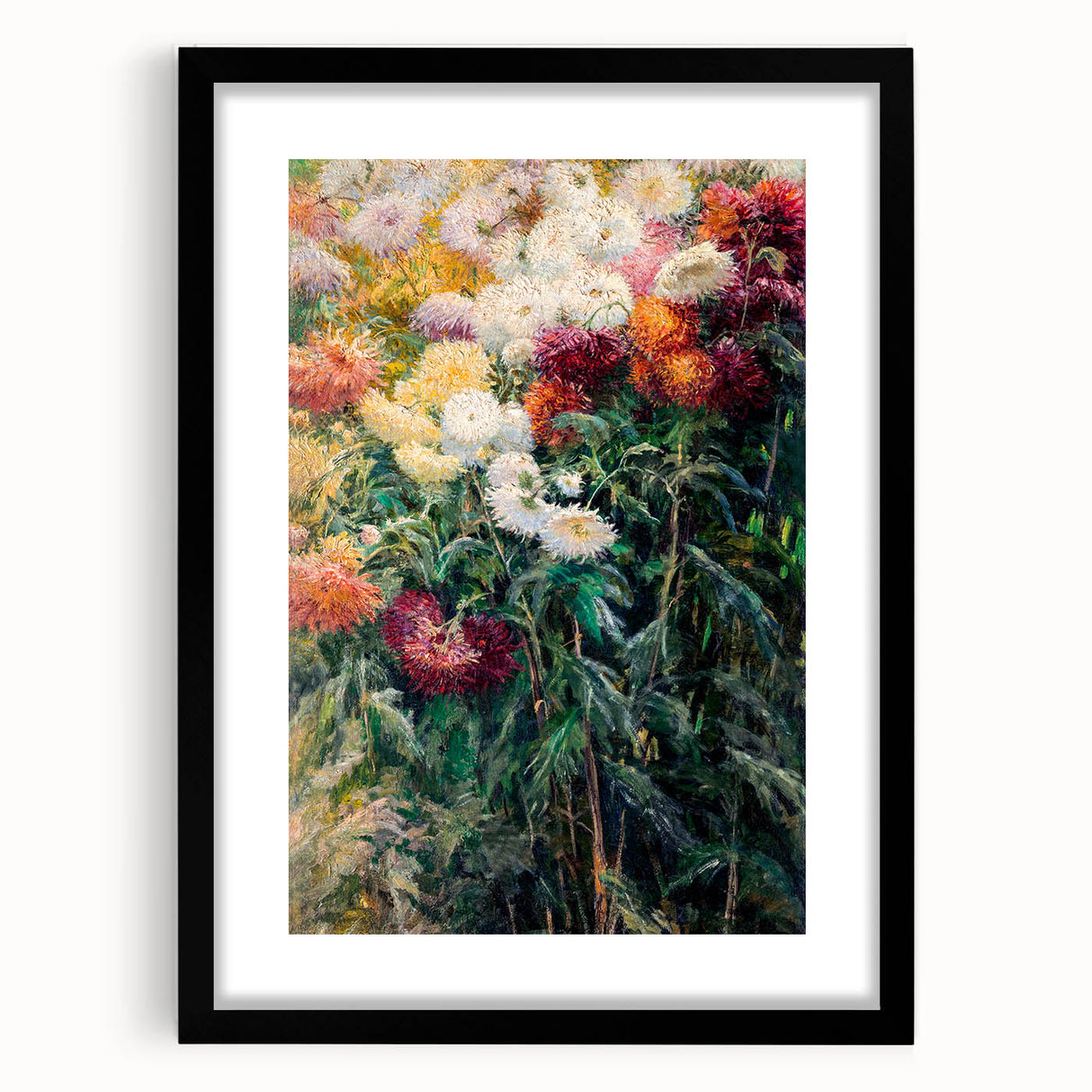 Impressionist Garden Floral Art - Chrysanthemums by Gustave Caillebotte