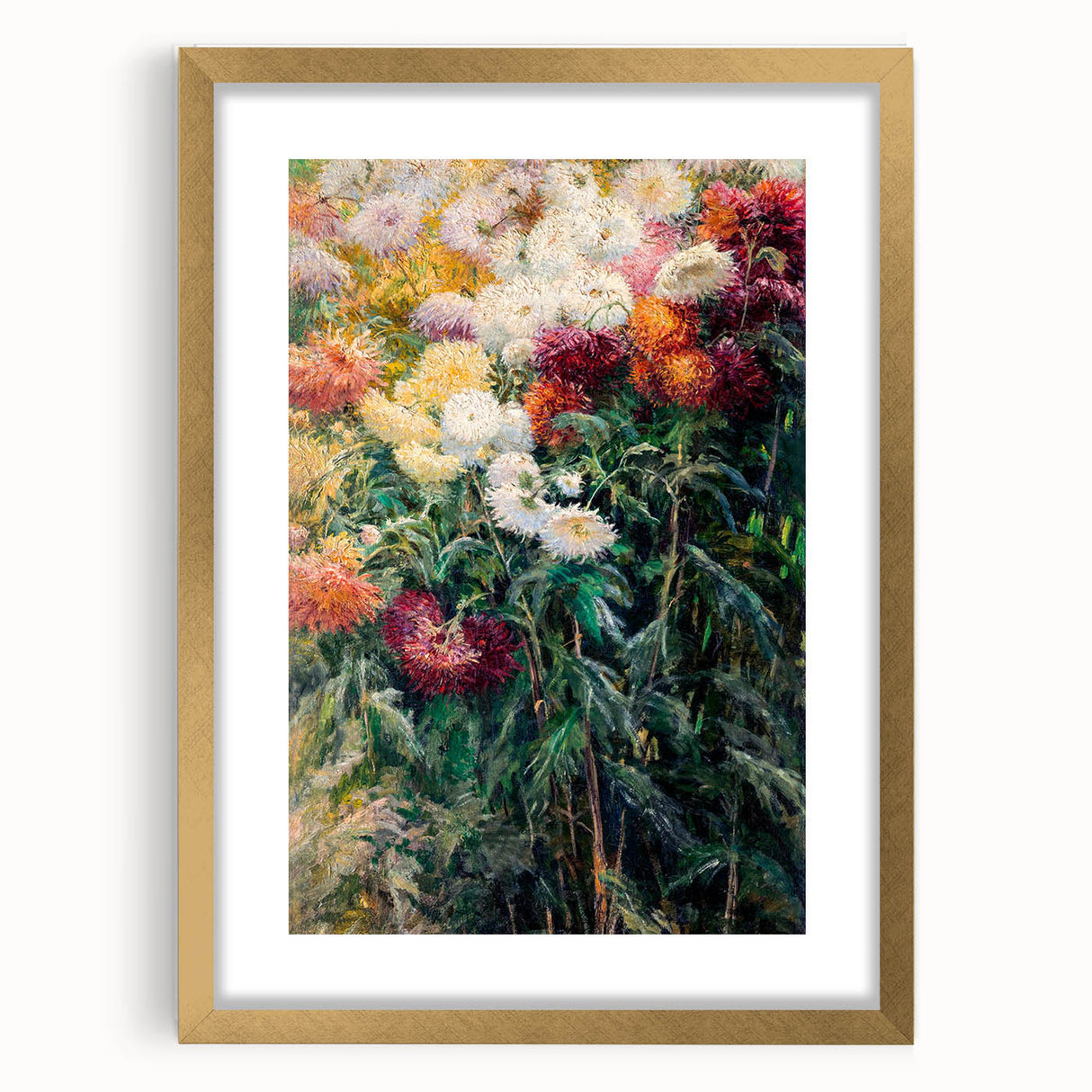 Impressionist Garden Floral Art - Chrysanthemums by Gustave Caillebotte