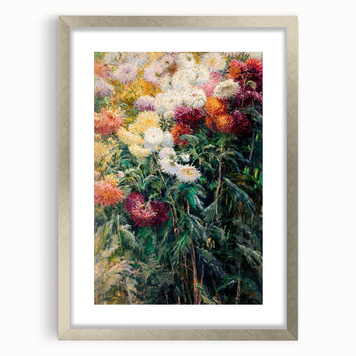 Impressionist Garden Floral Art - Chrysanthemums by Gustave Caillebotte