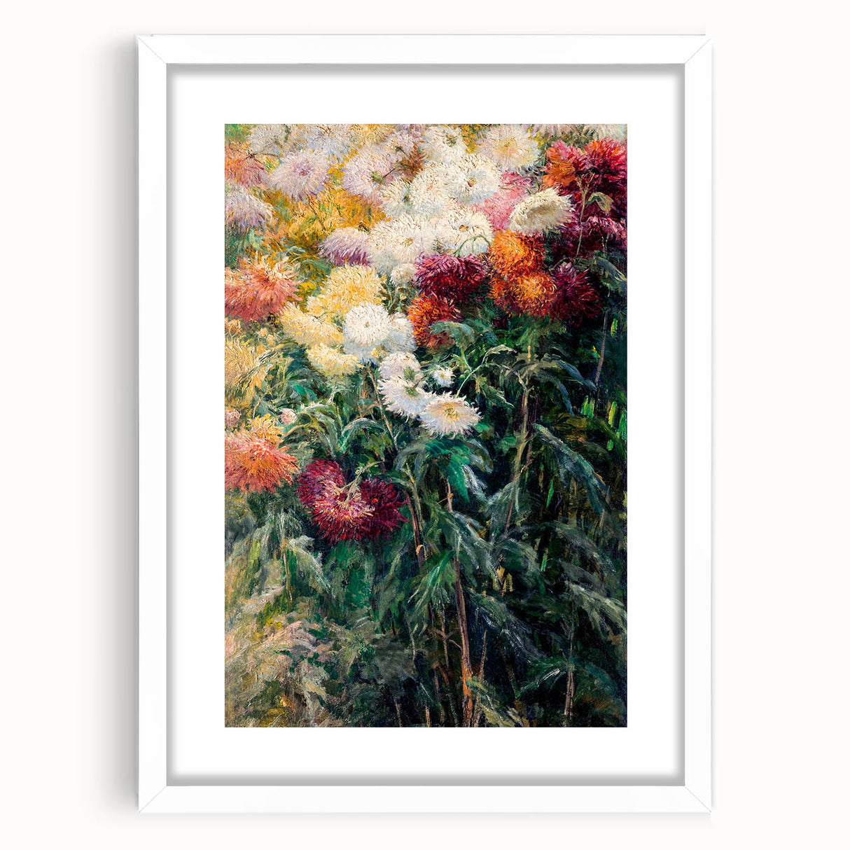 Impressionist Garden Floral Art - Chrysanthemums by Gustave Caillebotte