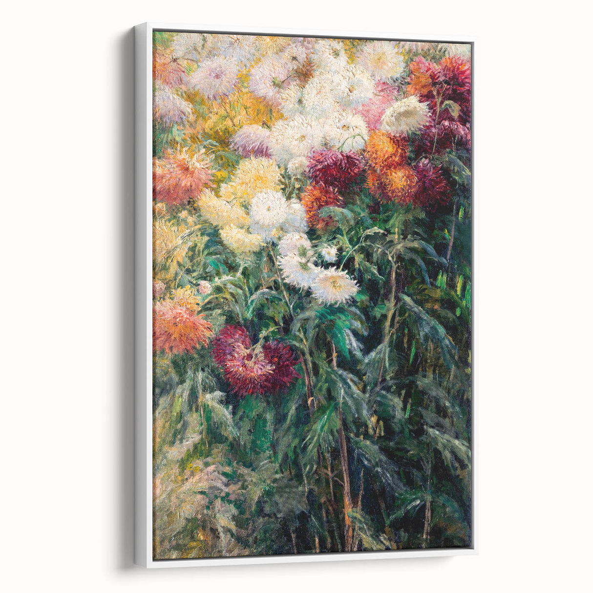 Impressionist Garden Floral Art - Chrysanthemums by Gustave Caillebotte