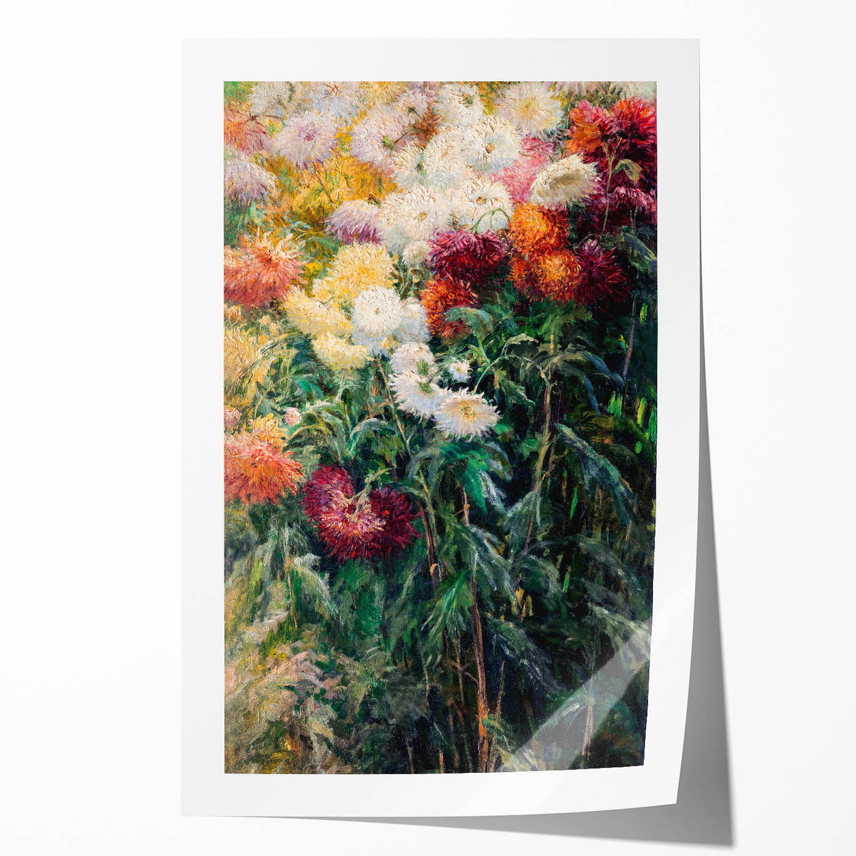 Impressionist Garden Floral Art - Chrysanthemums by Gustave Caillebotte