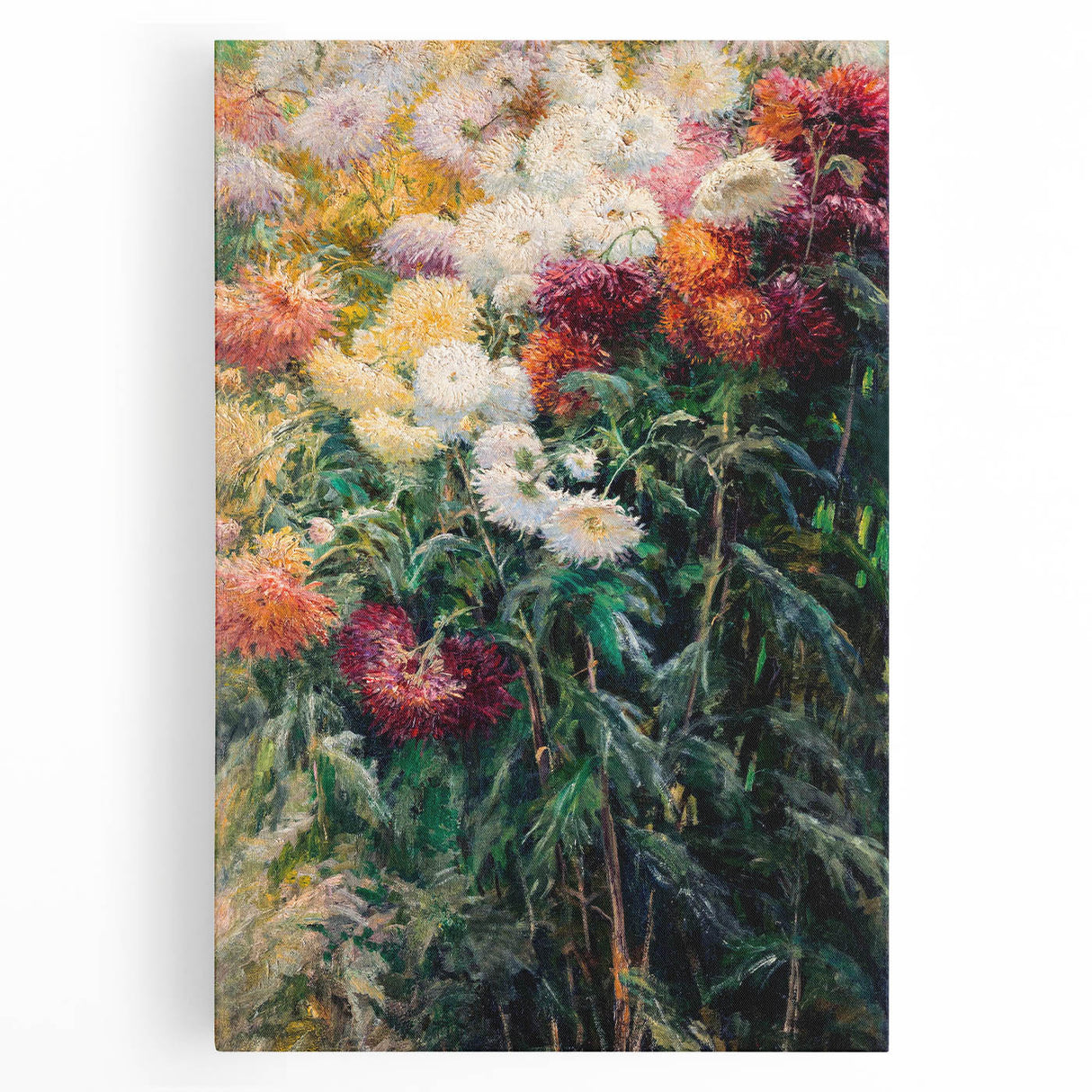 Impressionist Garden Floral Art - Chrysanthemums by Gustave Caillebotte