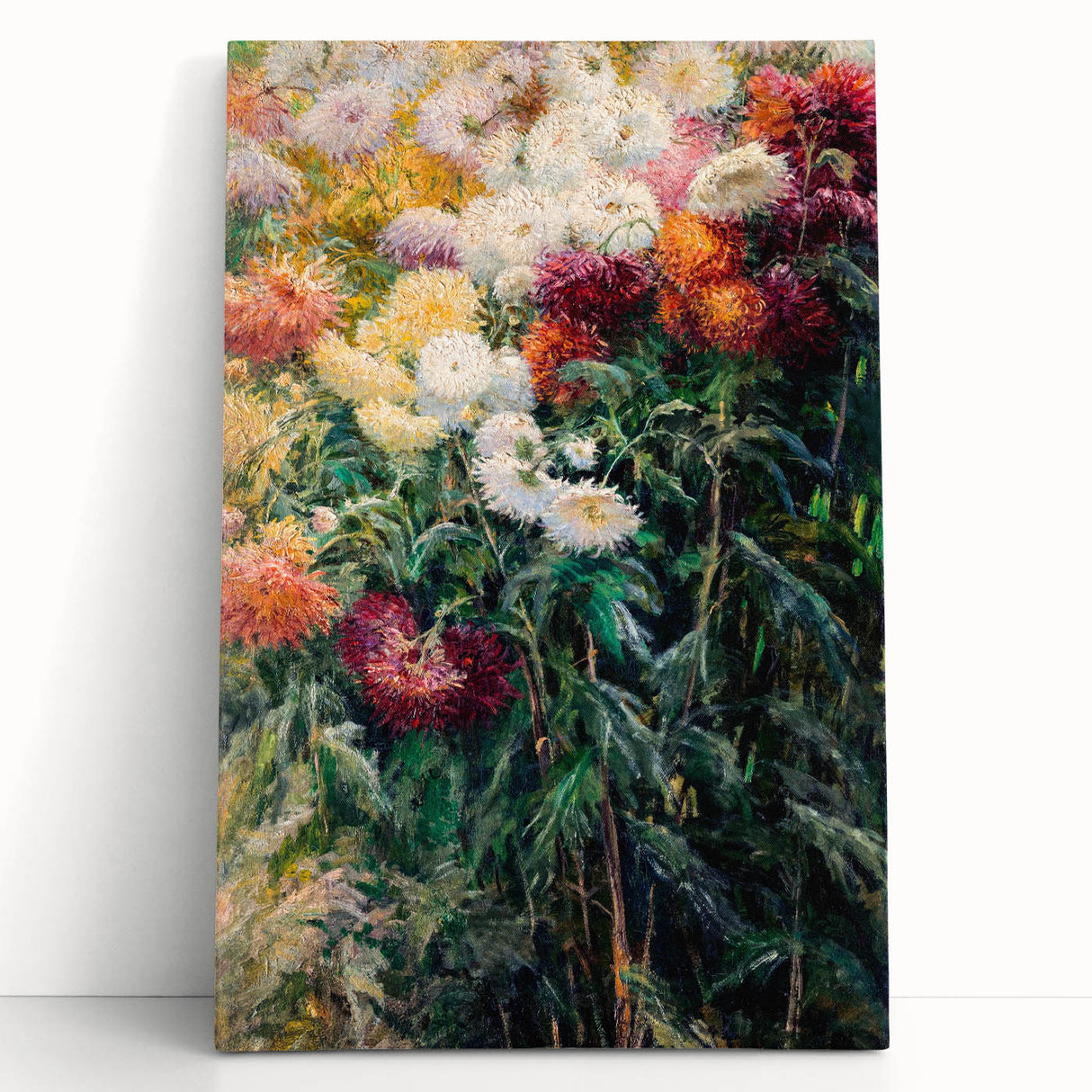 Impressionist Garden Floral Art - Chrysanthemums by Gustave Caillebotte