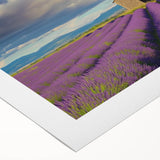 Rolled canvas showcasing a vibrant landscape barn design, featuring rich colors and intricate details, securely packaged in a protective cardboard tube for safe shipping.