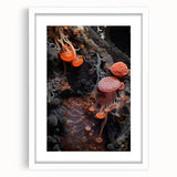 Abstract art print featuring close-up natural elements in muted green and brown, framed in white.