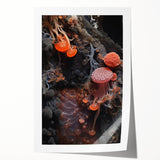 Extra large rolled print featuring close-up floral elements in natural hues.