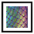 Extra large abstract art print featuring a colorful, textured close-up of animal motifs on a black framed canvas.