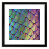 Extra large abstract art print featuring a colorful, textured close-up of animal motifs on a black framed canvas.