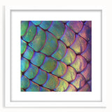 Abstract art print of a zebra in monochrome tones on a framed white canvas, suitable for dining room decor.