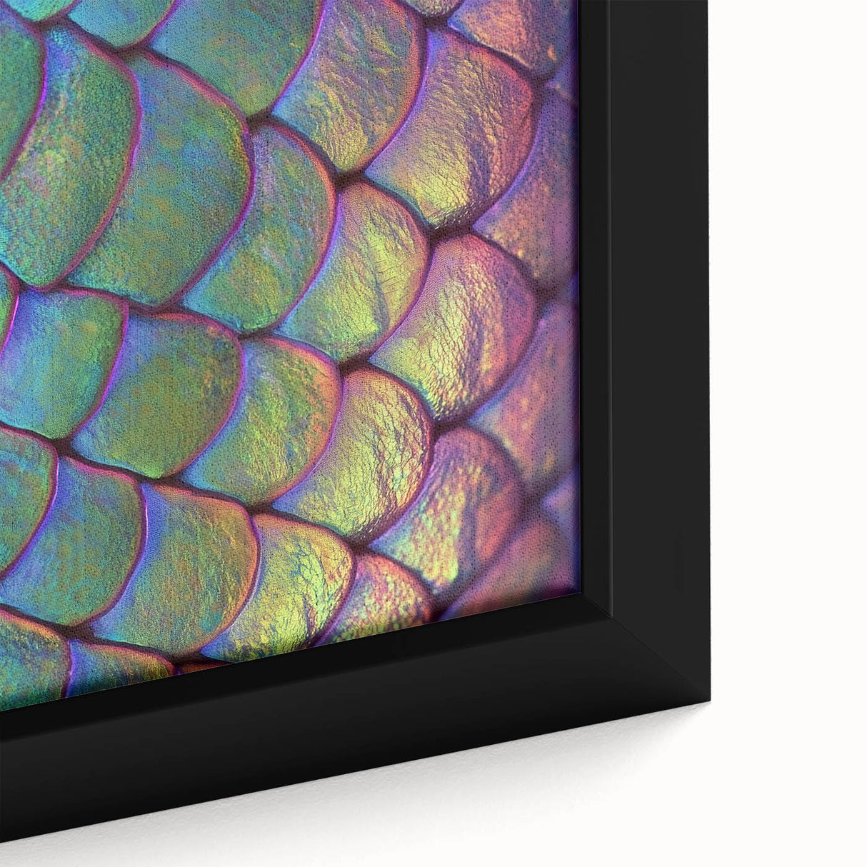 Extra large framed canvas featuring a close-up of a black textured butterfly on a colorful background.