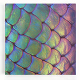 Close-up image of a zebra on a large stretched canvas, in black and white, ideal for kitchen wall art.