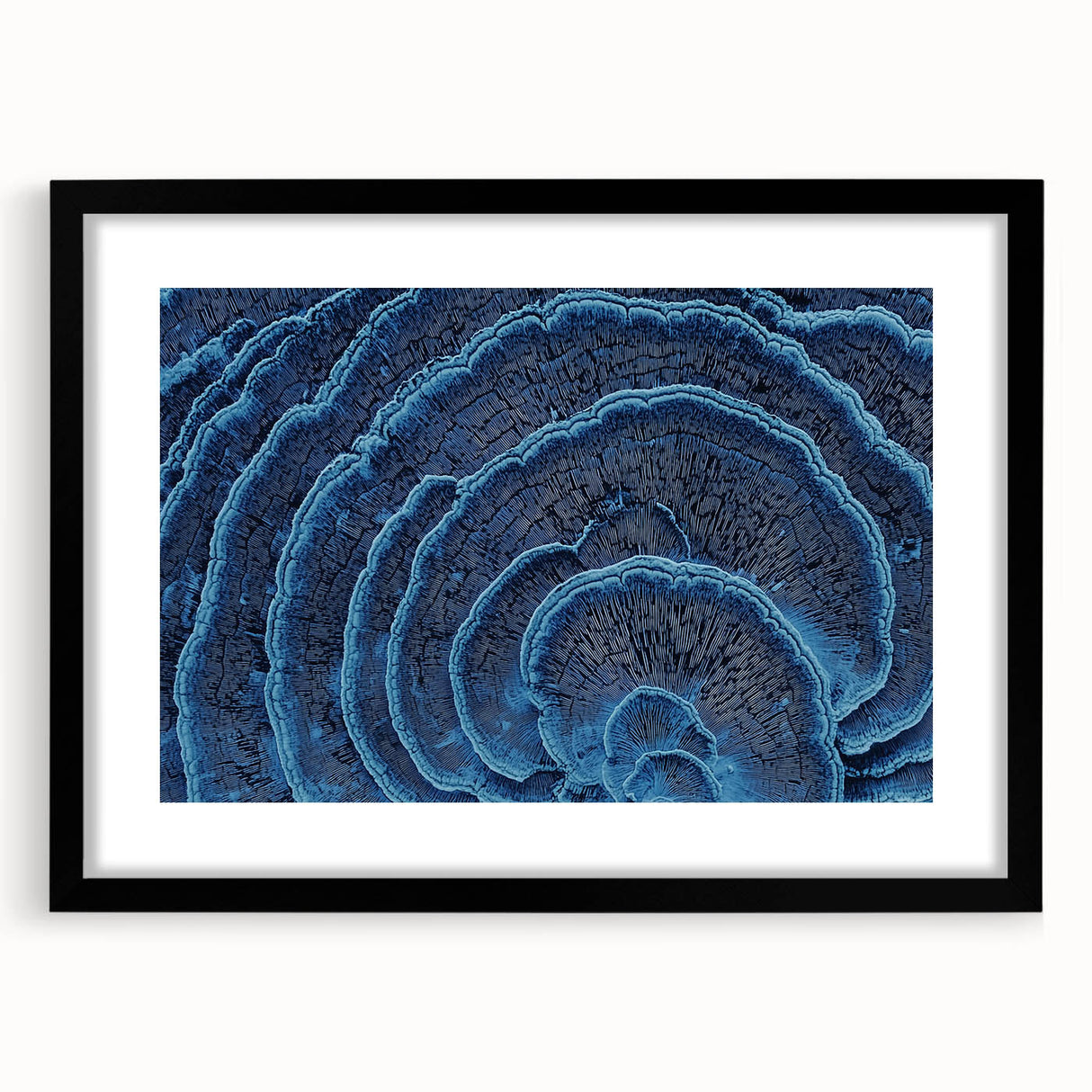 Extra large abstract art print featuring vivid, textured florals in a black frame, suitable for living room decor.