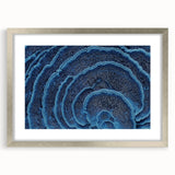 Textured abstract art print featuring close-up floral designs in muted earth tones, framed with a silver mat.