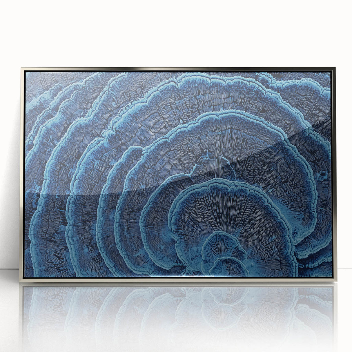 Mid-century modernist art depicting close-up floral designs in muted earth tones, framed in silver acrylic.