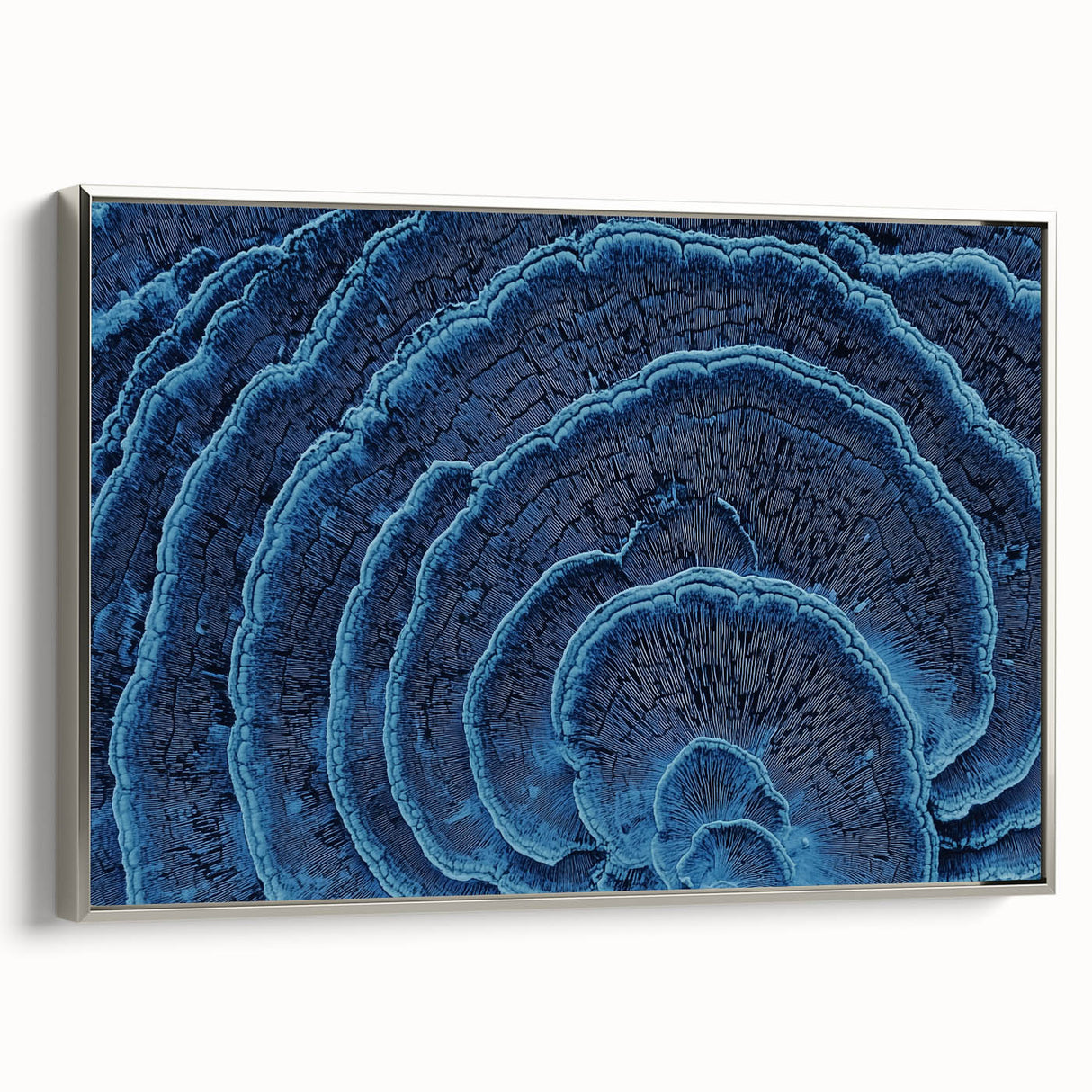 Landscape art painting featuring colorful florals on a black background, framed in silver, suitable for living room decor.