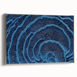 Landscape art painting featuring colorful florals on a black background, framed in silver, suitable for living room decor.