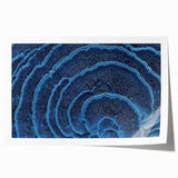 Close-up floral art on rolled print, featuring vibrant red and green tones, ideal for dining room wall decor.