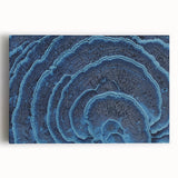 Black and white close-up floral image on large stretched canvas, suitable for kitchen wall art.