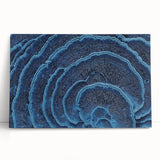 Black and white close-up floral photo on stretched canvas, ideal for kitchen wall art or bedroom ambiance.