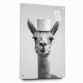 Adorable Llama Bathroom Wall Art - Fun Black and White Decor