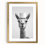 Adorable Llama Bathroom Wall Art - Fun Black and White Decor