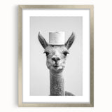 Adorable Llama Bathroom Wall Art - Fun Black and White Decor