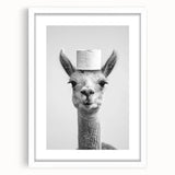 Adorable Llama Bathroom Wall Art - Fun Black and White Decor