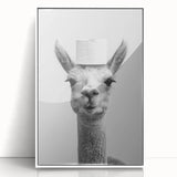 Adorable Llama Bathroom Wall Art - Fun Black and White Decor