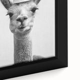 Adorable Llama Bathroom Wall Art - Fun Black and White Decor