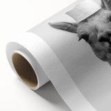 Adorable Llama Bathroom Wall Art - Fun Black and White Decor