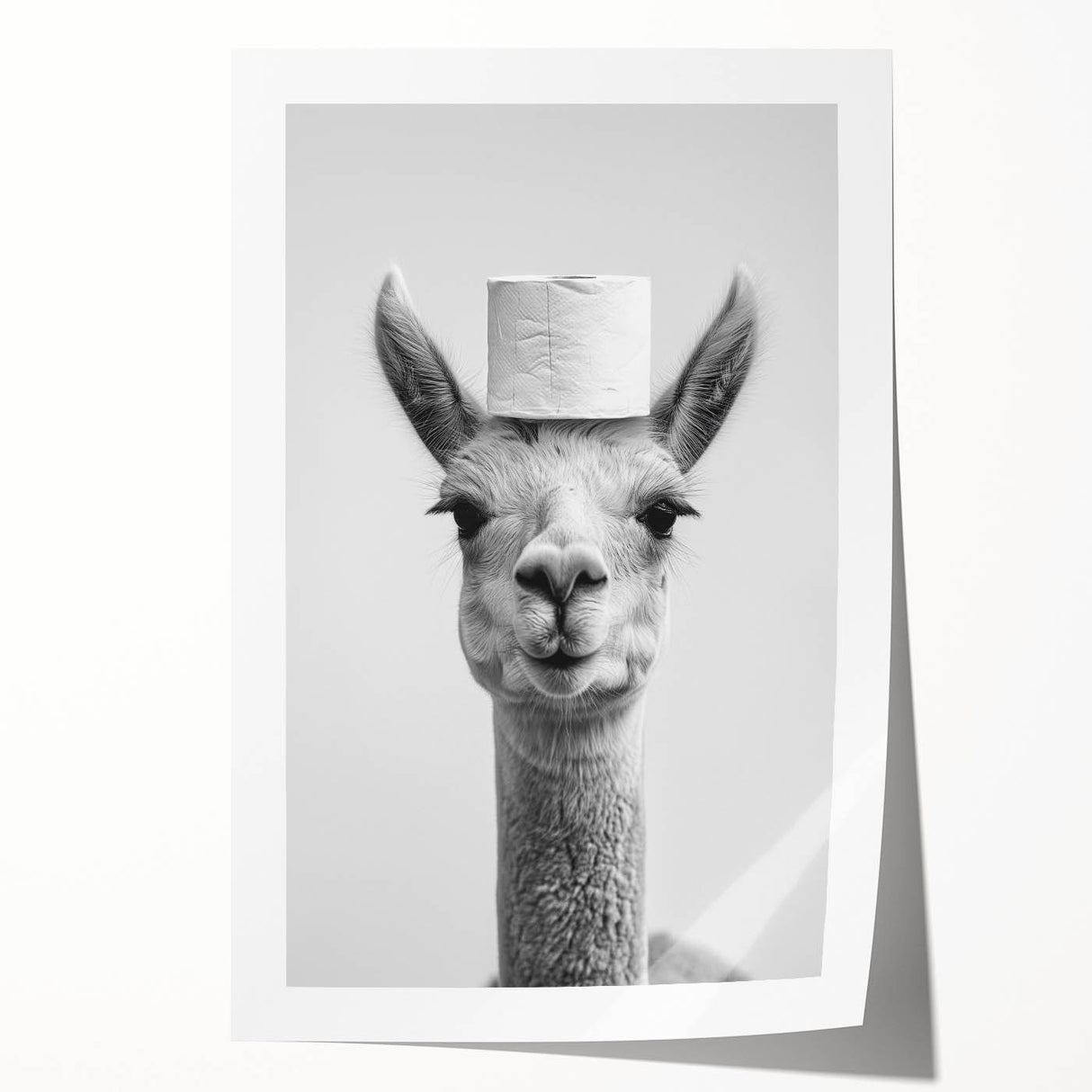 Adorable Llama Bathroom Wall Art - Fun Black and White Decor