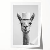 Adorable Llama Bathroom Wall Art - Fun Black and White Decor