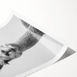 Adorable Llama Bathroom Wall Art - Fun Black and White Decor