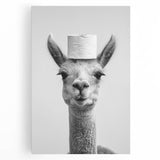 Adorable Llama Bathroom Wall Art - Fun Black and White Decor