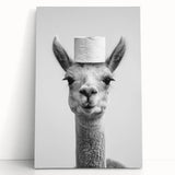 Adorable Llama Bathroom Wall Art - Fun Black and White Decor