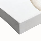 Playful Zebra Nursery Canvas Prints - Children's Wall Art