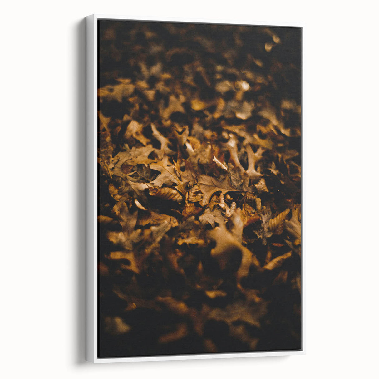 Vintage poster art featuring a fall scene with colorful leaves on a black background, framed canvas.