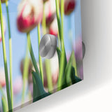 Large abstract wall art on acrylic glass featuring mid-century modernist spring themes in pastel shades.