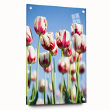 Large abstract wall art on acrylic glass depicting vibrant spring colors, ideal for bedroom or dining room decor.