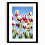 Extra large abstract art print featuring vibrant spring colors on a textured canvas, framed in black.