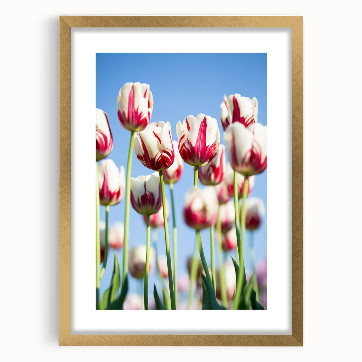 Extra large abstract art print with textured designs in spring colors, framed in gold, ideal for living room decor.