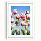 Abstract art print featuring swirling spring colors in pastel shades, framed in white.