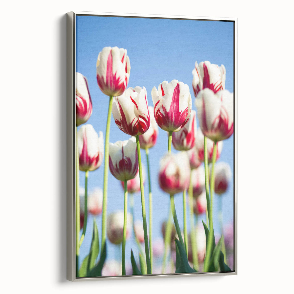 Framed canvas featuring a vintage landscape painting with colorful spring scenes, ideal for living room decor.